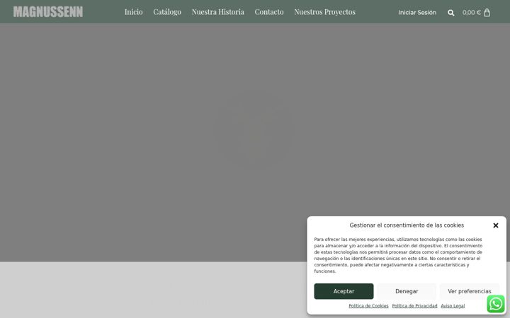 Screenshot of magnussenn.com