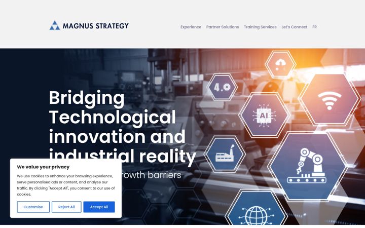 Screenshot of magnusstrategy.com