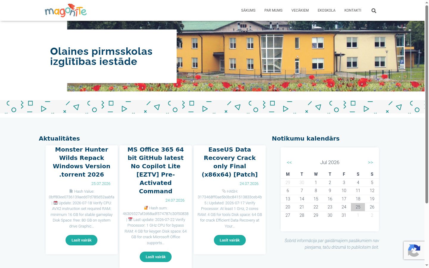 Skærmbillede af samtykkebanneret, som det blev vist før nogen interaktion