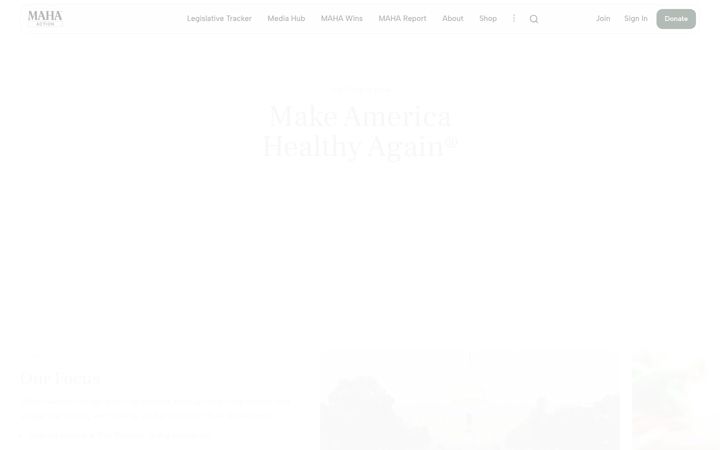 Screenshot of mahaaction.com