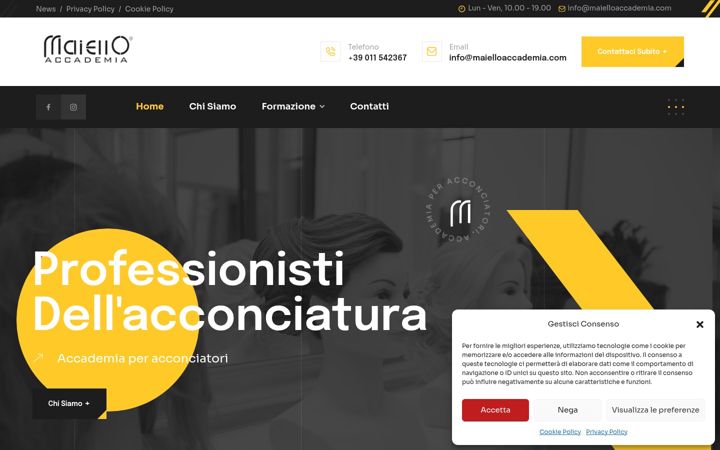 Screenshot of maielloaccademia.com