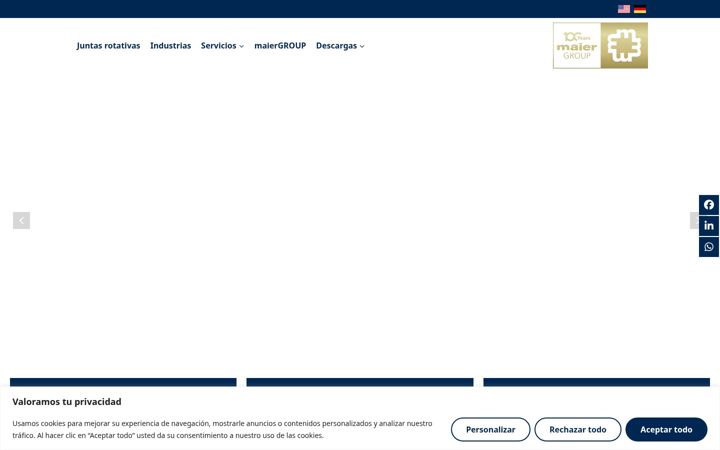 Screenshot of maier-mexico.com