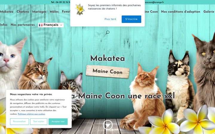Screenshot of maine-coon-elevage.com