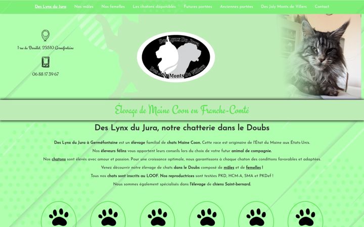 Screenshot of maine-coon-franche-comte.fr