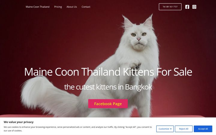 Screenshot of mainecoon-thailand.com