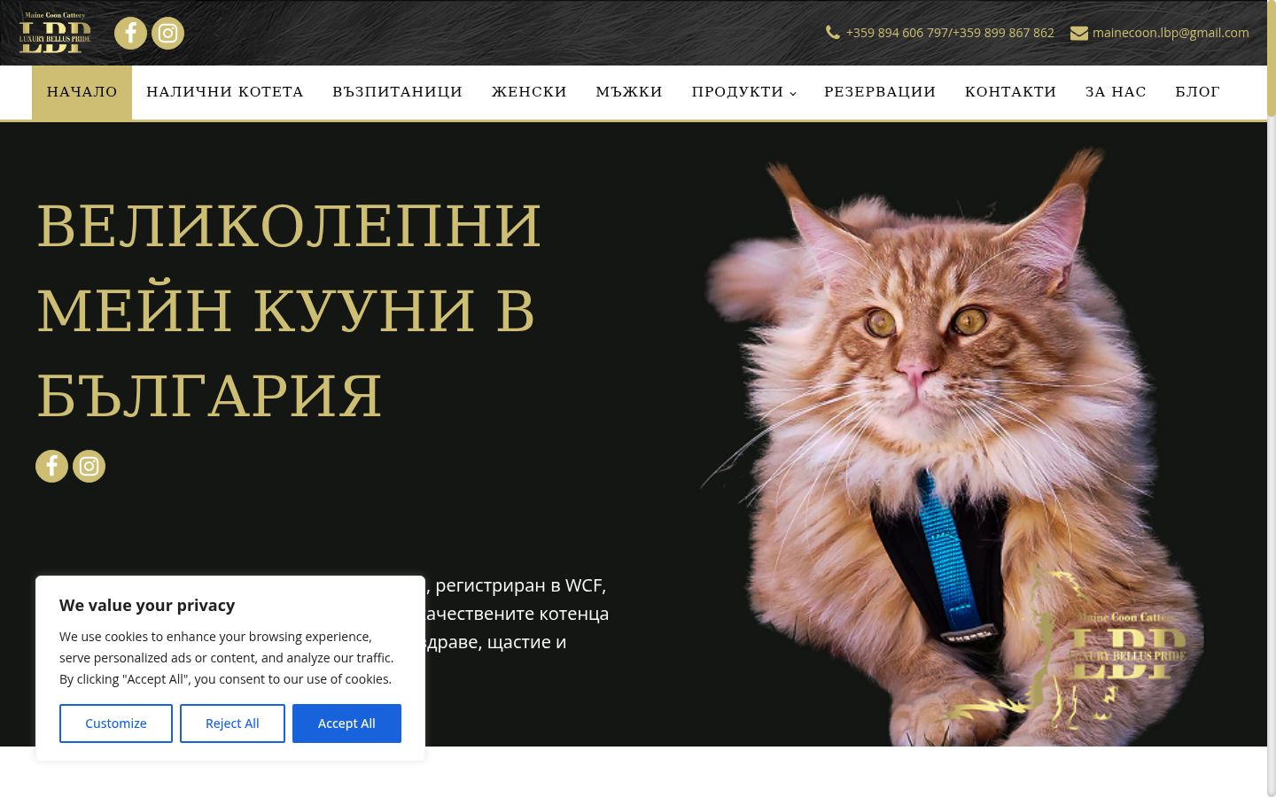 Screenshot del banner di consenso mostrato prima di qualsiasi interazione