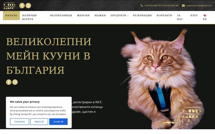 Screenshot of mainecoonlbp.com