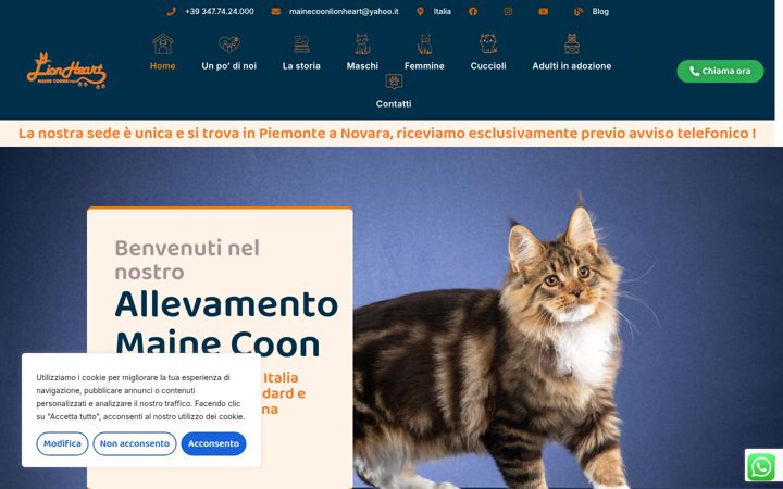 Screenshot of mainecoonlionheart.com
