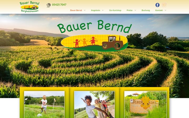 Screenshot of maislabyrinth-borgholzhausen.de