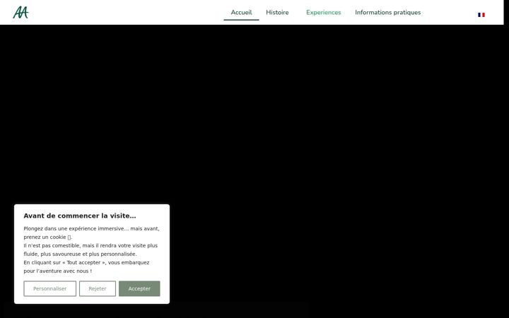 Screenshot of maison-albert-andre.com