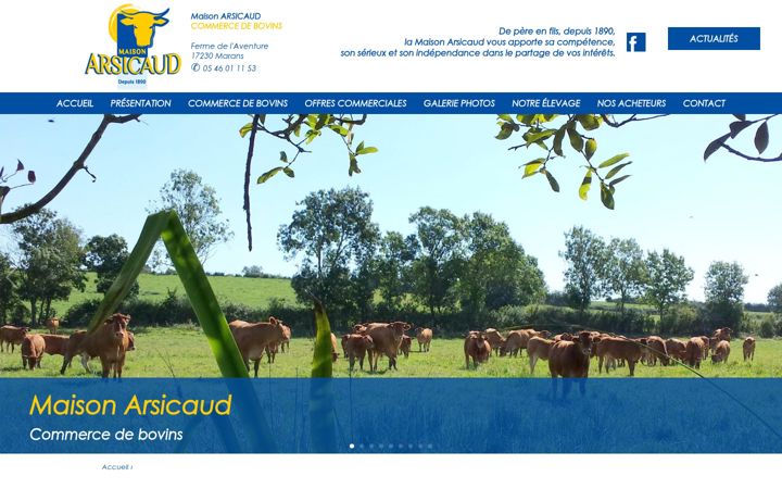 Screenshot of maison-arsicaud.com