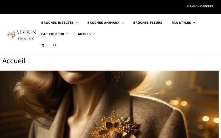 Screenshot of maison-des-broches.com