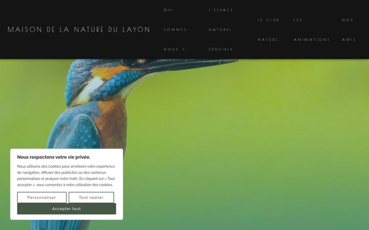 Screenshot of maisondelanaturedulayon.fr