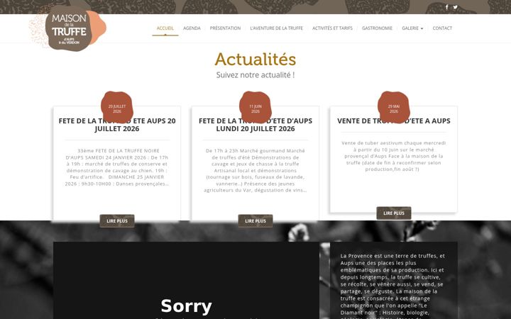 Screenshot of maisondelatruffe-verdon.fr