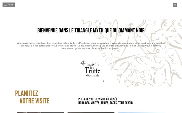 Screenshot of maisondelatruffedoccitanie.com