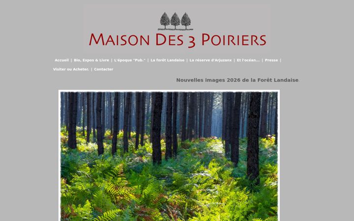 Screenshot of maisondes3poiriers.com
