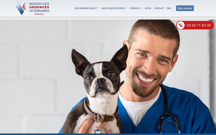 Screenshot of maisondesurgences-strasbourg.com