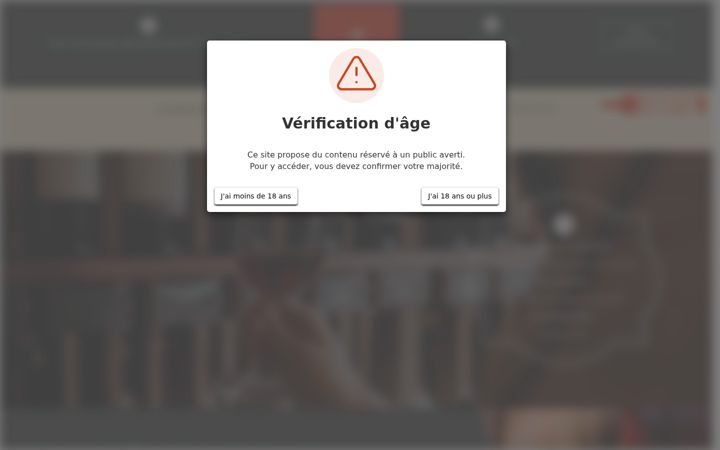Screenshot of maisondesvinscassis-13.com