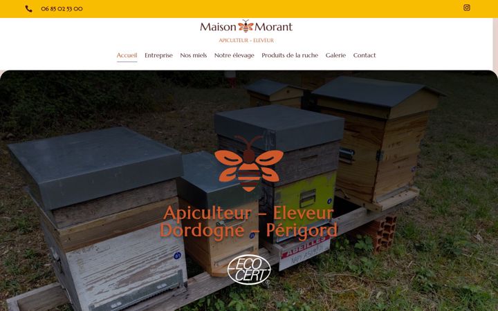 Screenshot of maisonmorant.fr