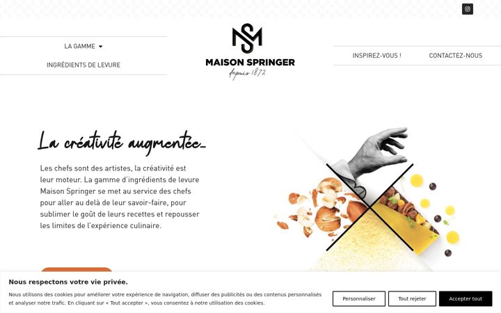 Screenshot of maisonspringer.com