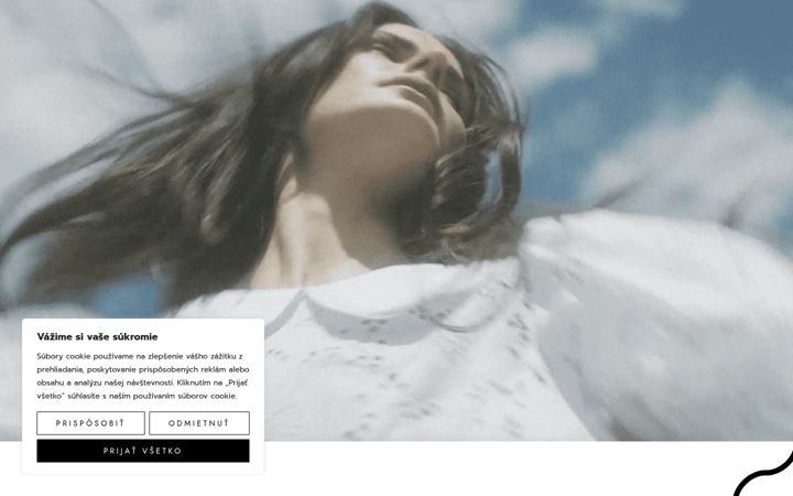 Screenshot of maisonvindt.com