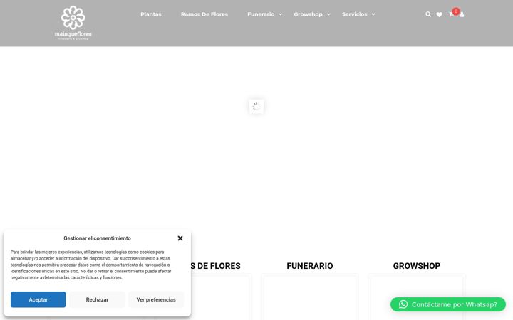 Screenshot of maisqueflores.com