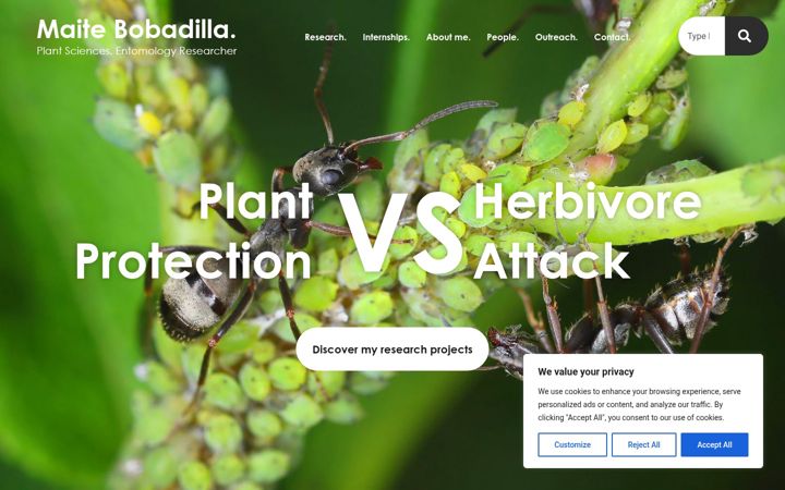 Screenshot of maitebobadilla.com