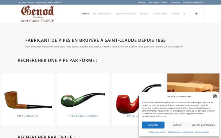 Screenshot of maitrepipier.fr