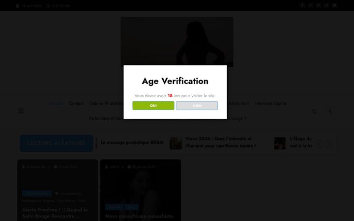 Screenshot of maitresse-ida.fr