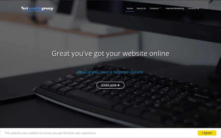 Screenshot of makemoneyonlinelessons.com
