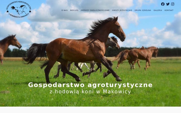 Screenshot of makowica.pl