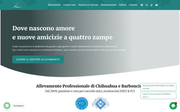Screenshot of maksivon.com