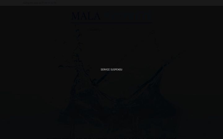 Screenshot of mala-proprete.fr