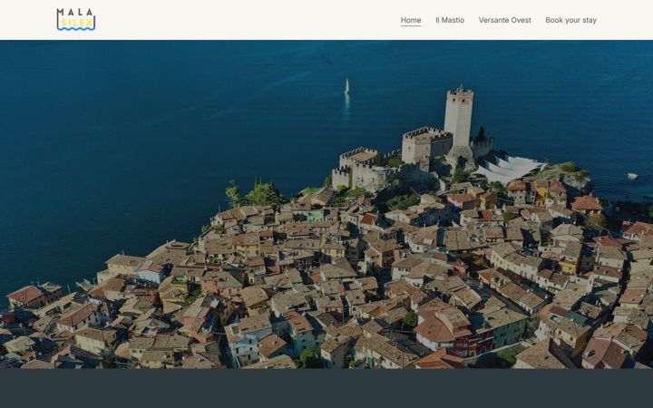 Screenshot of malasilex.com