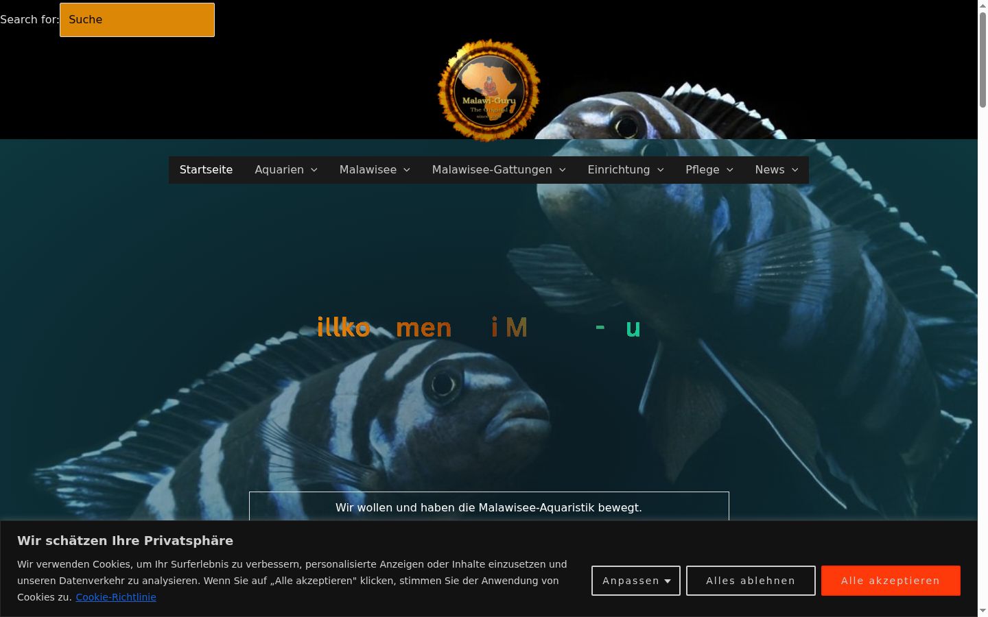 Screenshot des Einwilligungsbanners vor jeglicher Interaktion
