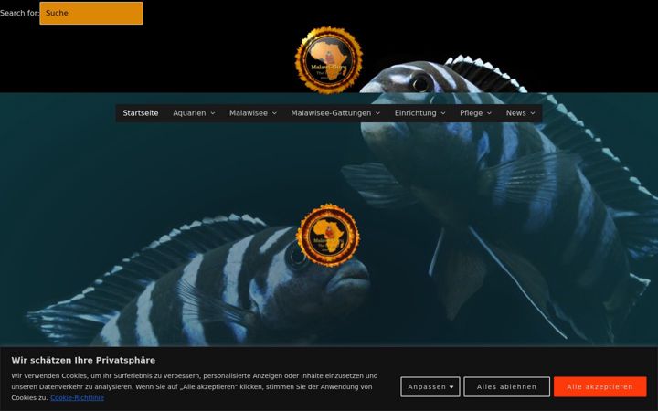 Screenshot of malawi-guru.de