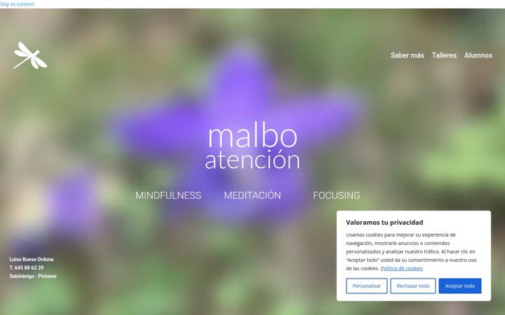 Screenshot of malboatencion.com