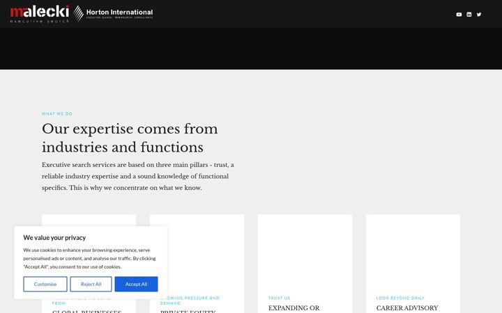 Screenshot of maleckiexecutive.com