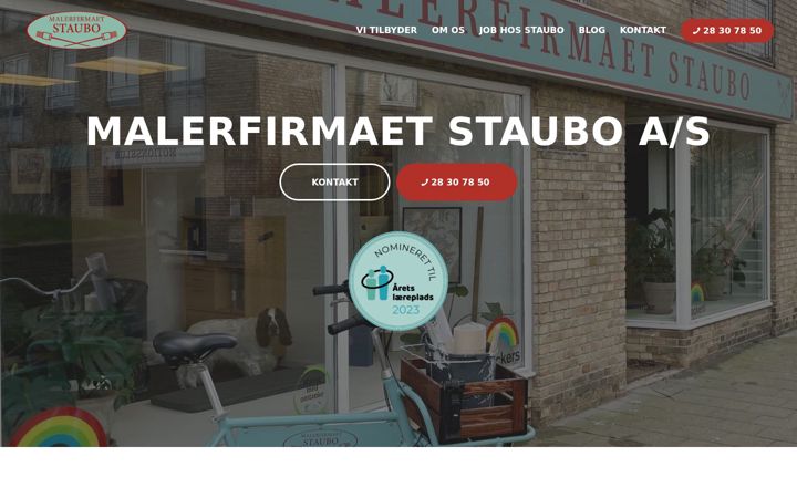 Screenshot of malerstaubo.dk