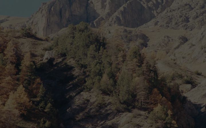 Screenshot of malikvenna.com