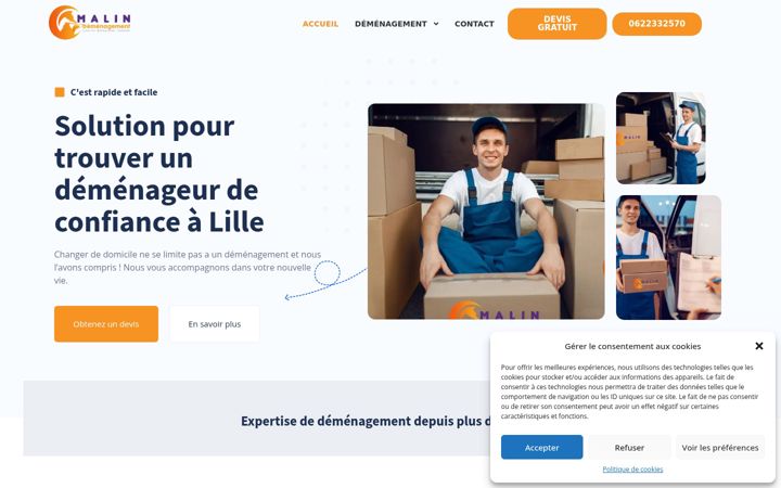 Screenshot of malindemenagement.fr