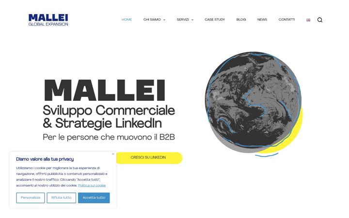 Screenshot of mallei.it
