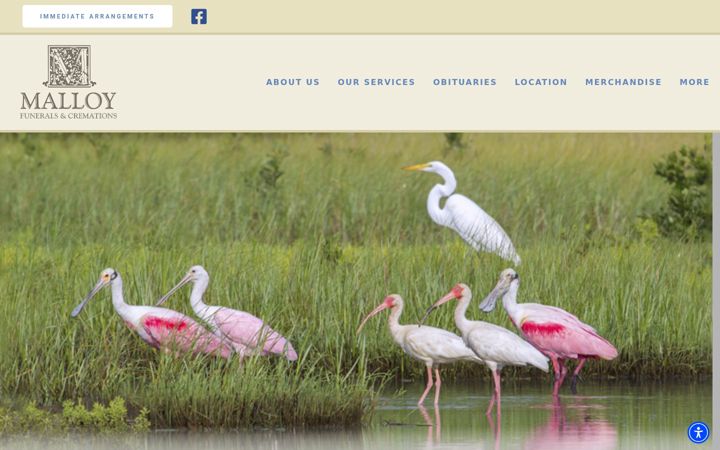 Screenshot of malloyandson.com