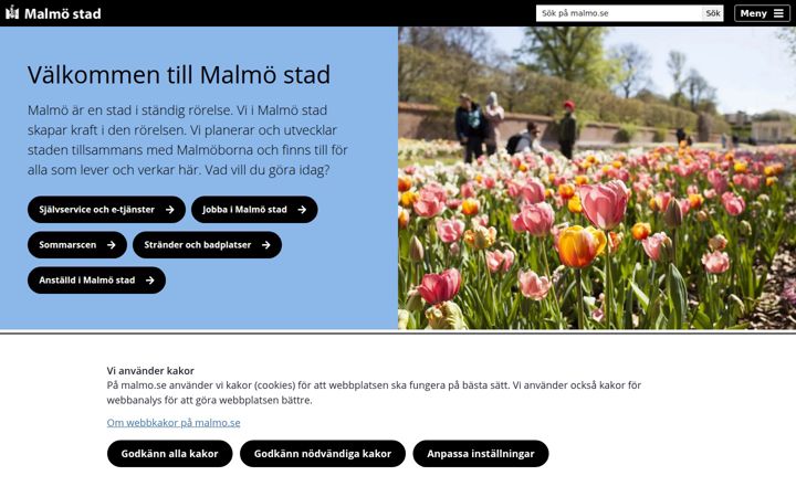 Captura de pantalla de malmo.se