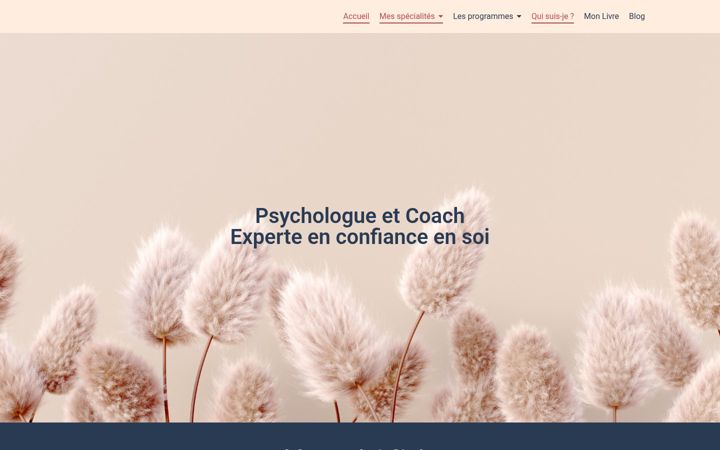 Screenshot of maloriemonier.com