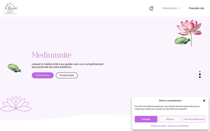 Screenshot of malou-mediumnite.fr
