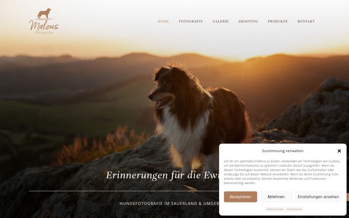 Screenshot of malous-fotografie.de