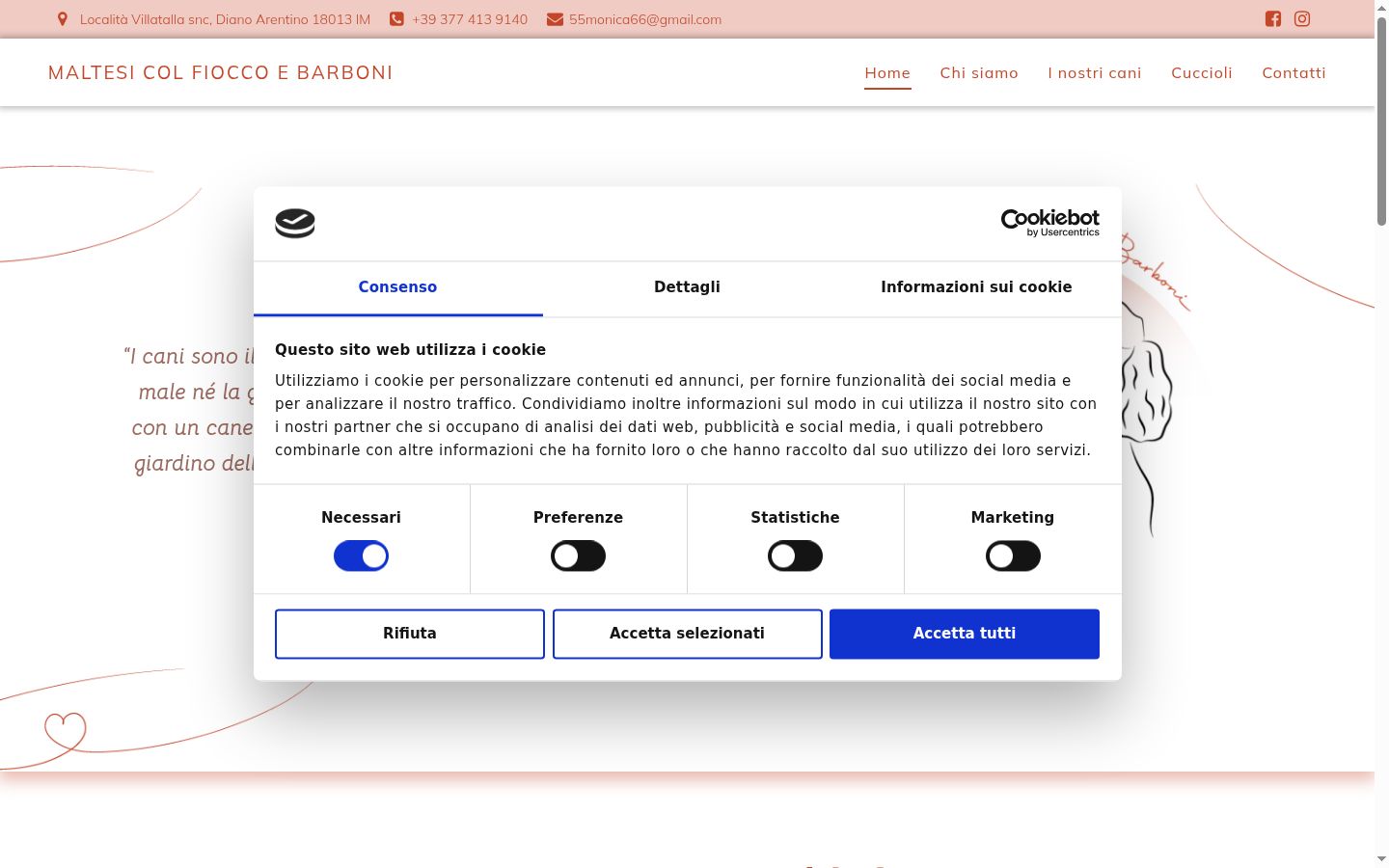 Snimka zaslona bannera za privolu prikazanog prije bilo kakve interakcije