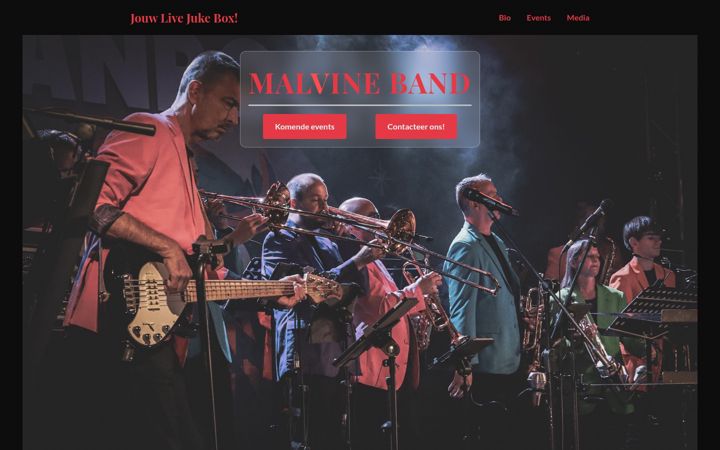 Screenshot of malvineband.be