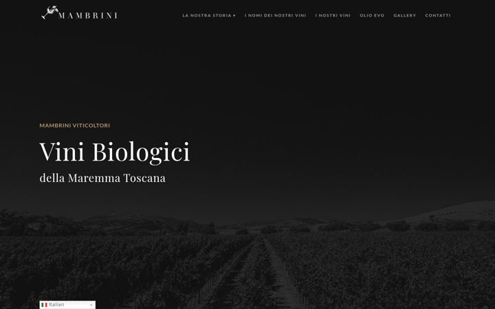 Screenshot of mambriniviticoltori.it